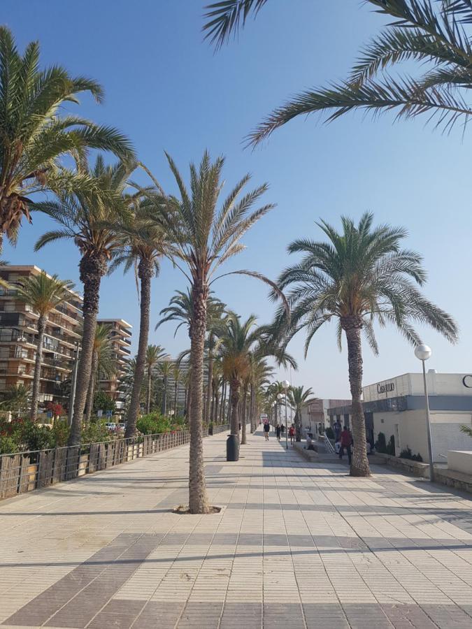 Exclusif Appartement En 1Er Ligne, Vue Imprenable, Piscine, Parking Prive A Playa Mucha Vista, Alicante Ел Кампело Екстериор снимка